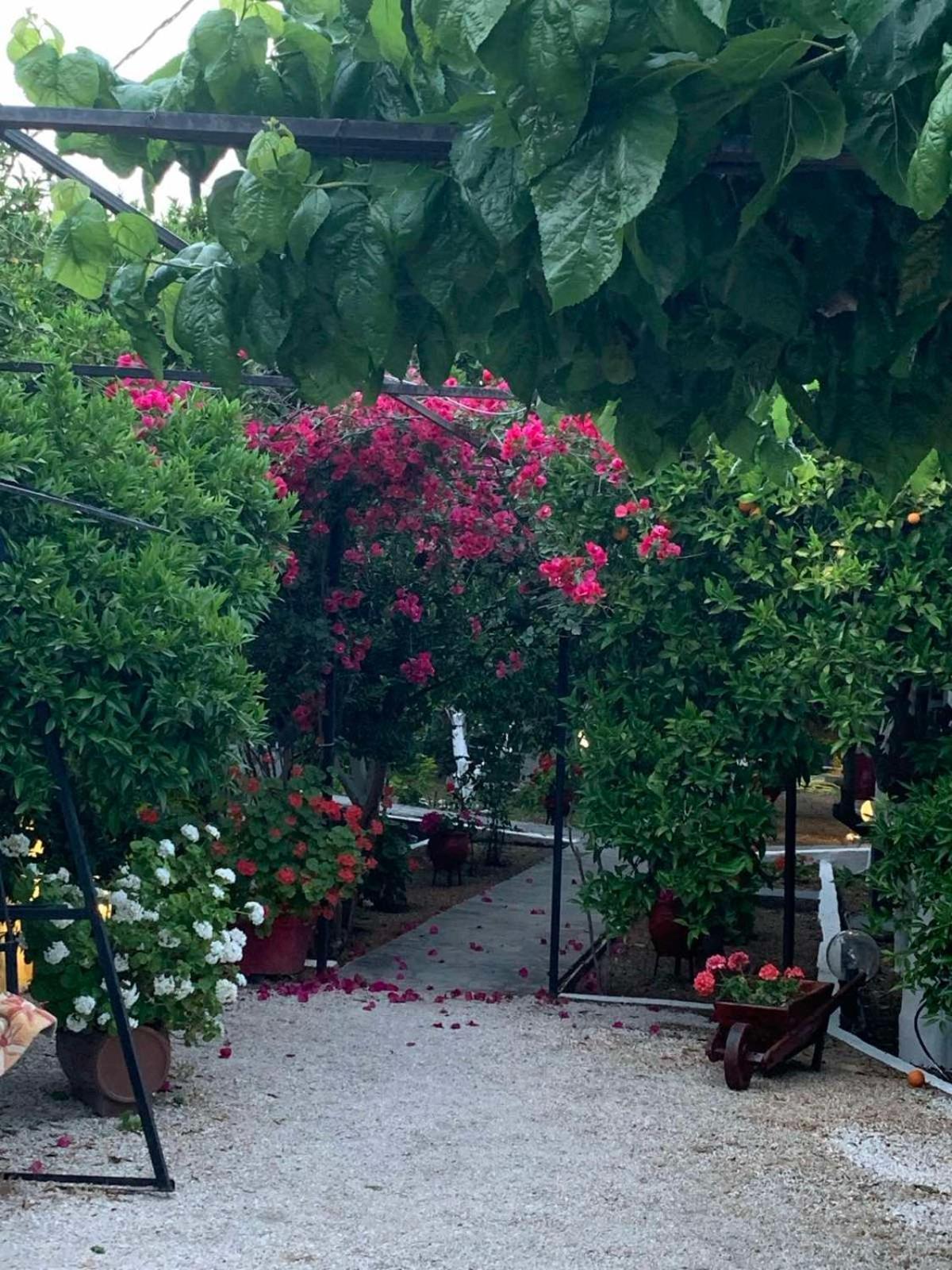 Cottonclub Villas Tolón Dış mekan fotoğraf
