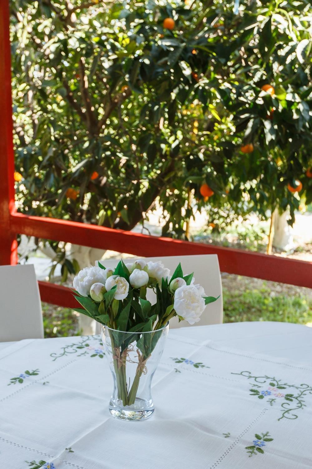Cottonclub Villas Tolón Dış mekan fotoğraf