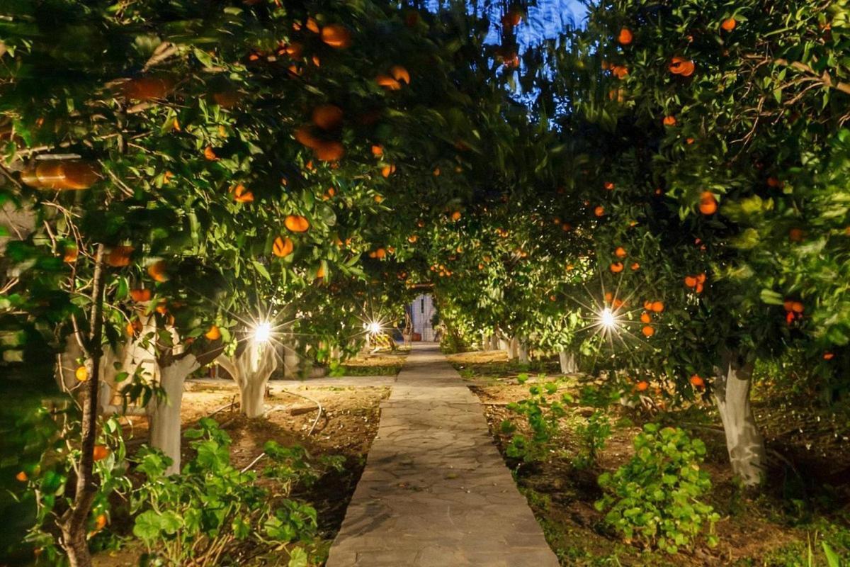 Cottonclub Villas Tolón Dış mekan fotoğraf