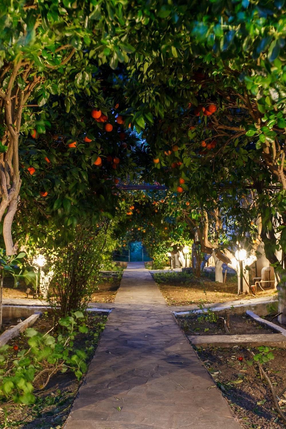 Cottonclub Villas Tolón Dış mekan fotoğraf