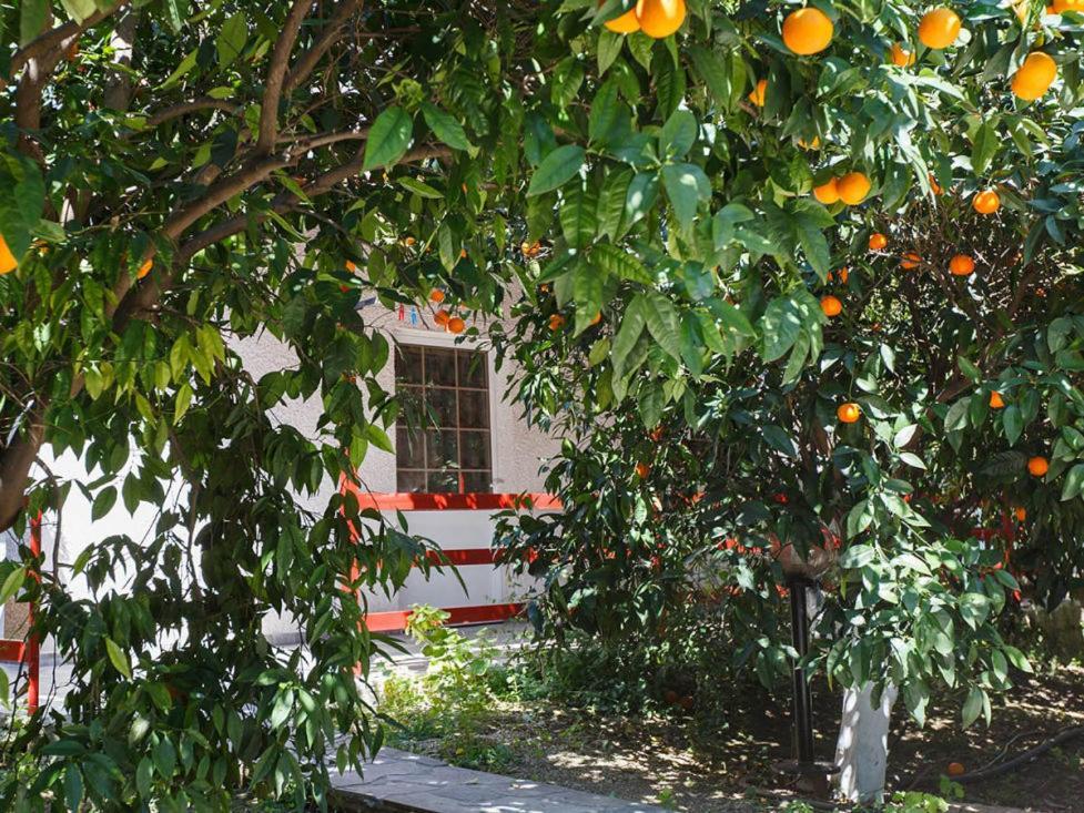 Cottonclub Villas Tolón Dış mekan fotoğraf