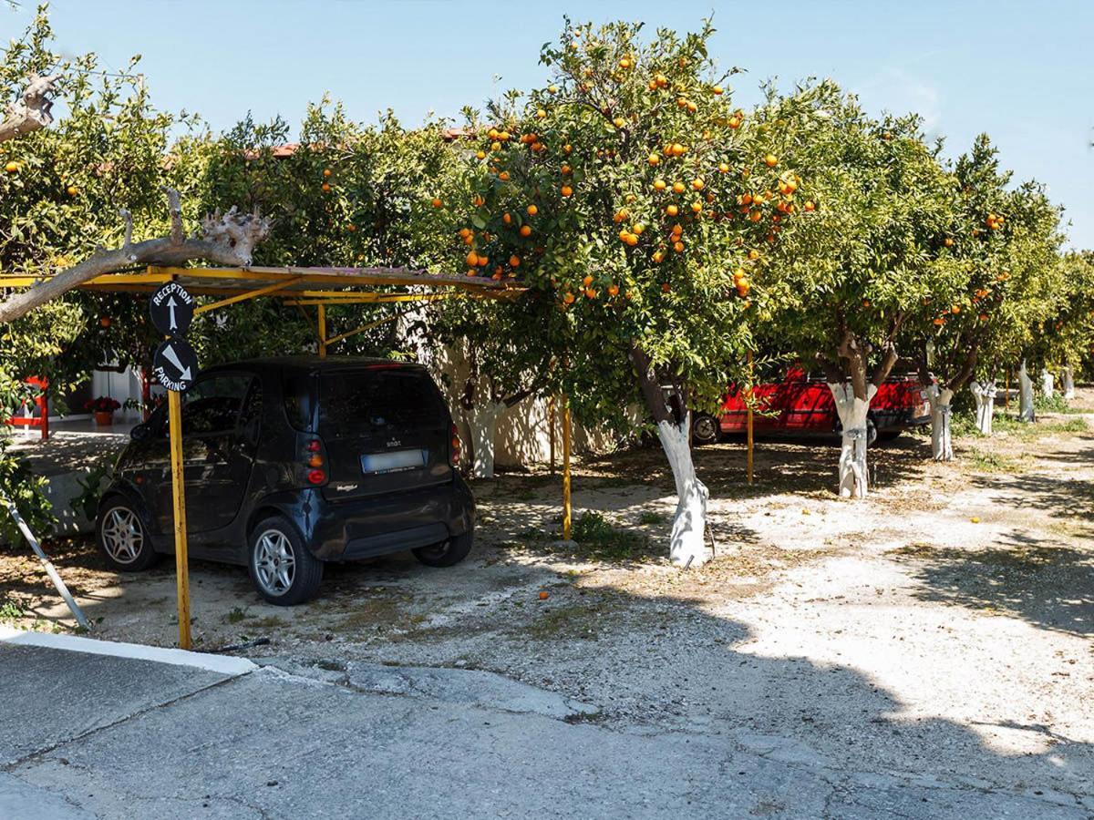 Cottonclub Villas Tolón Dış mekan fotoğraf