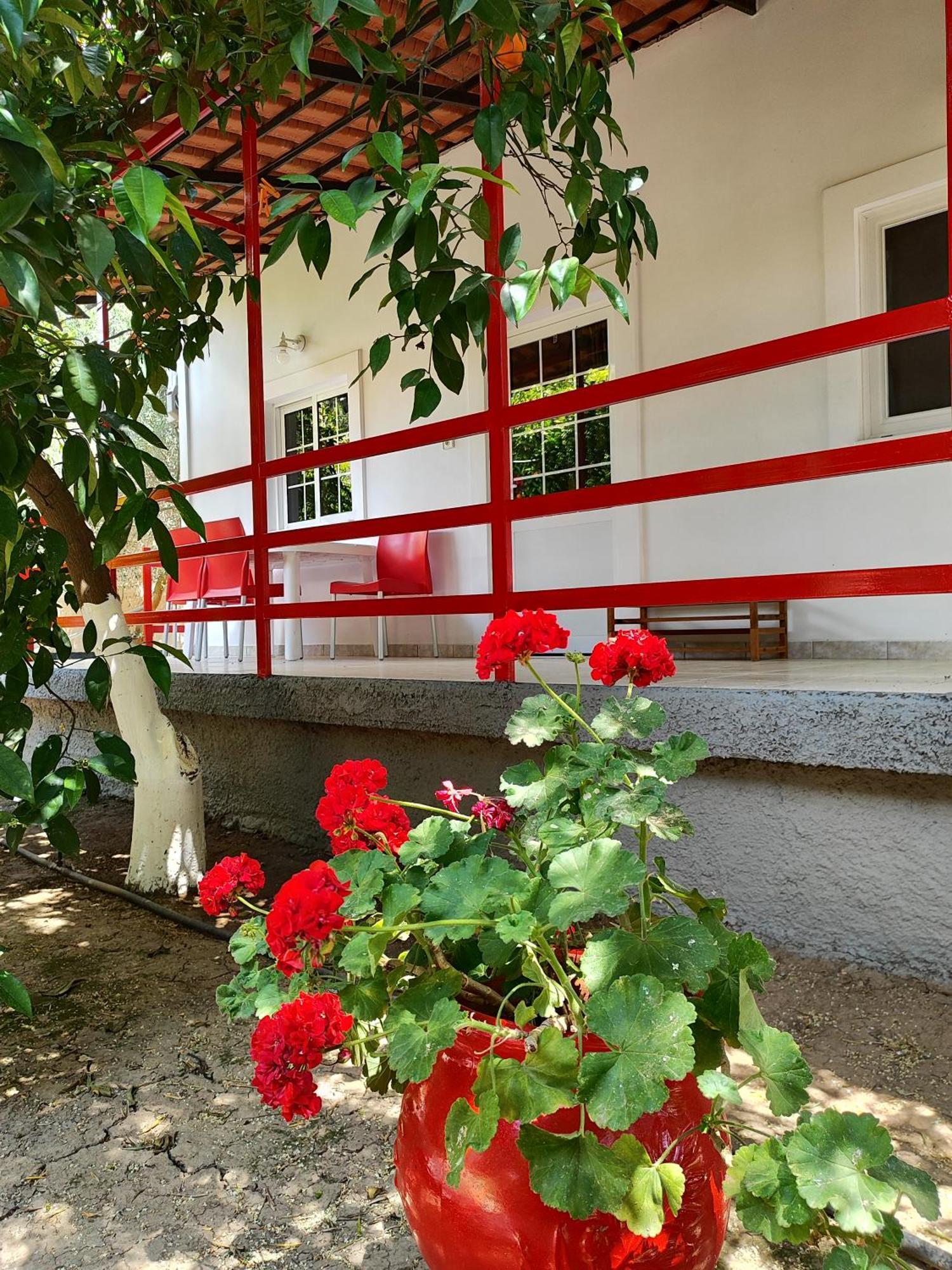 Cottonclub Villas Tolón Dış mekan fotoğraf