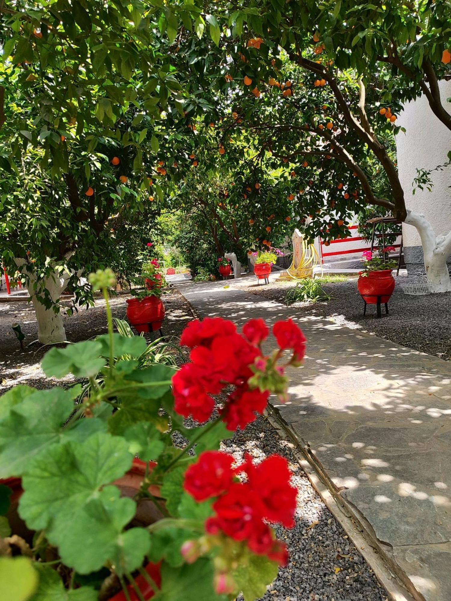 Cottonclub Villas Tolón Dış mekan fotoğraf