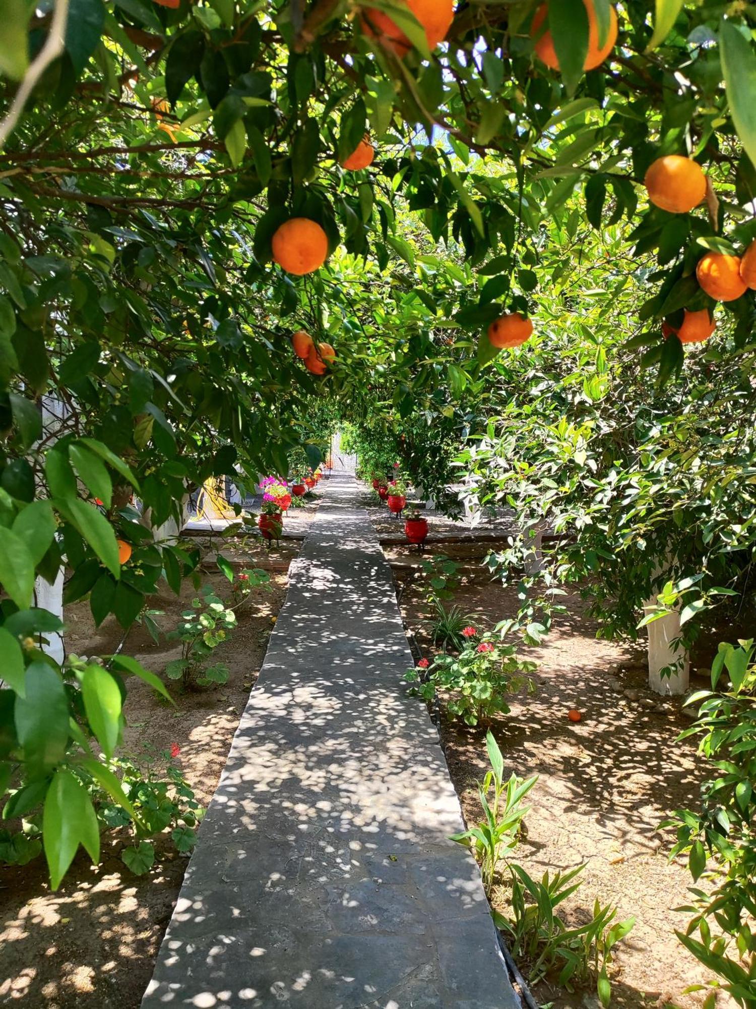 Cottonclub Villas Tolón Dış mekan fotoğraf