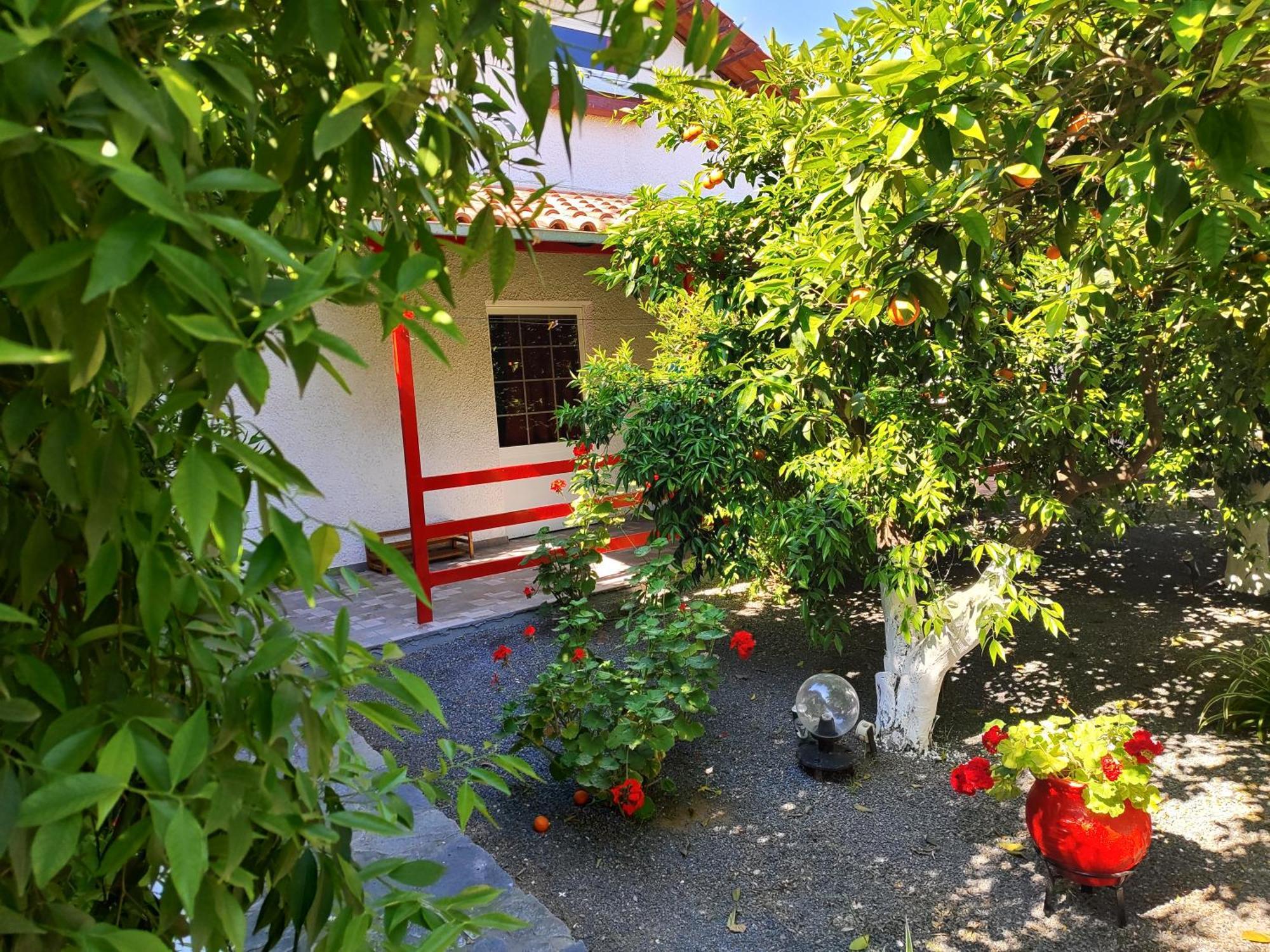 Cottonclub Villas Tolón Dış mekan fotoğraf