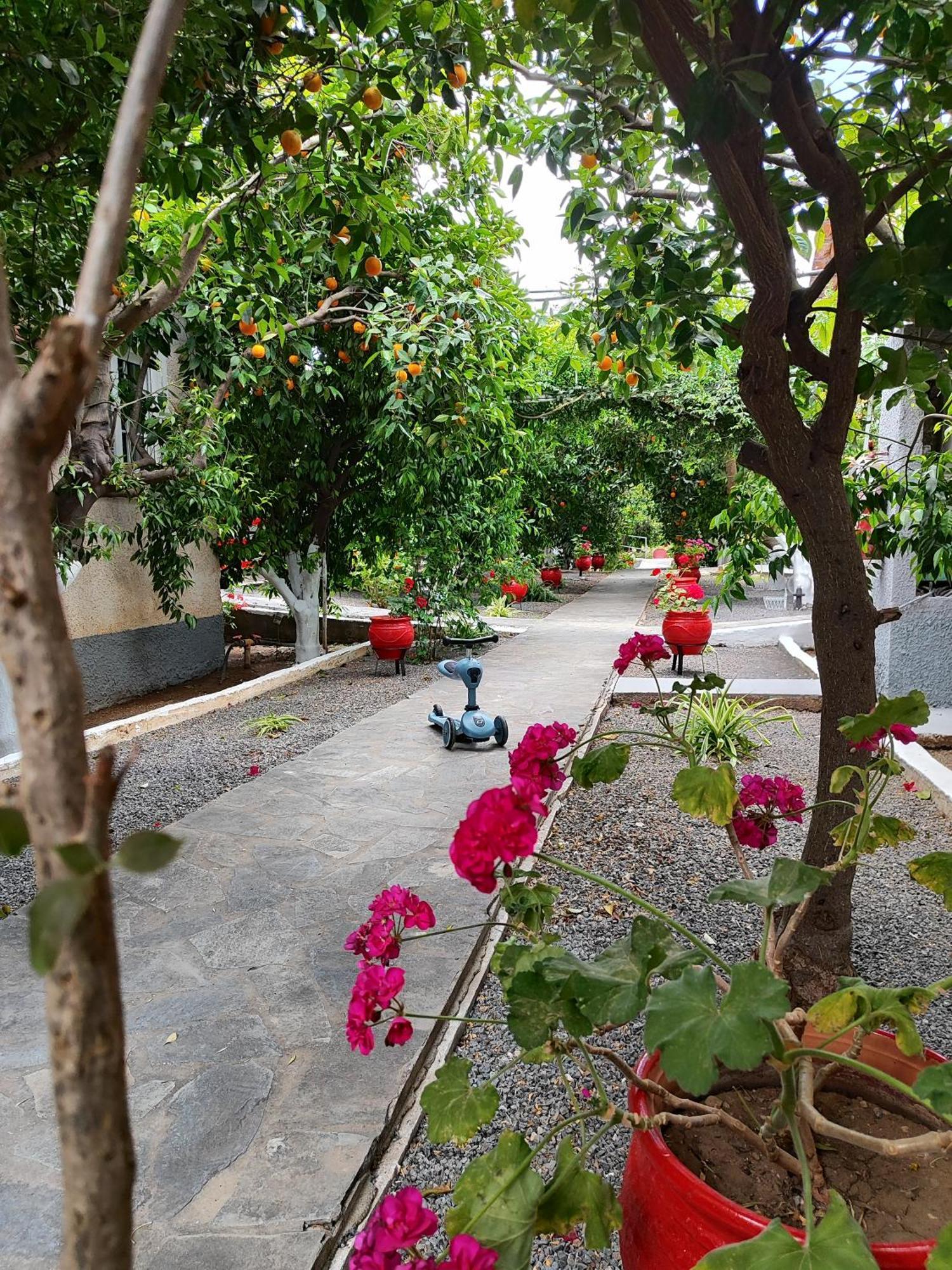 Cottonclub Villas Tolón Dış mekan fotoğraf
