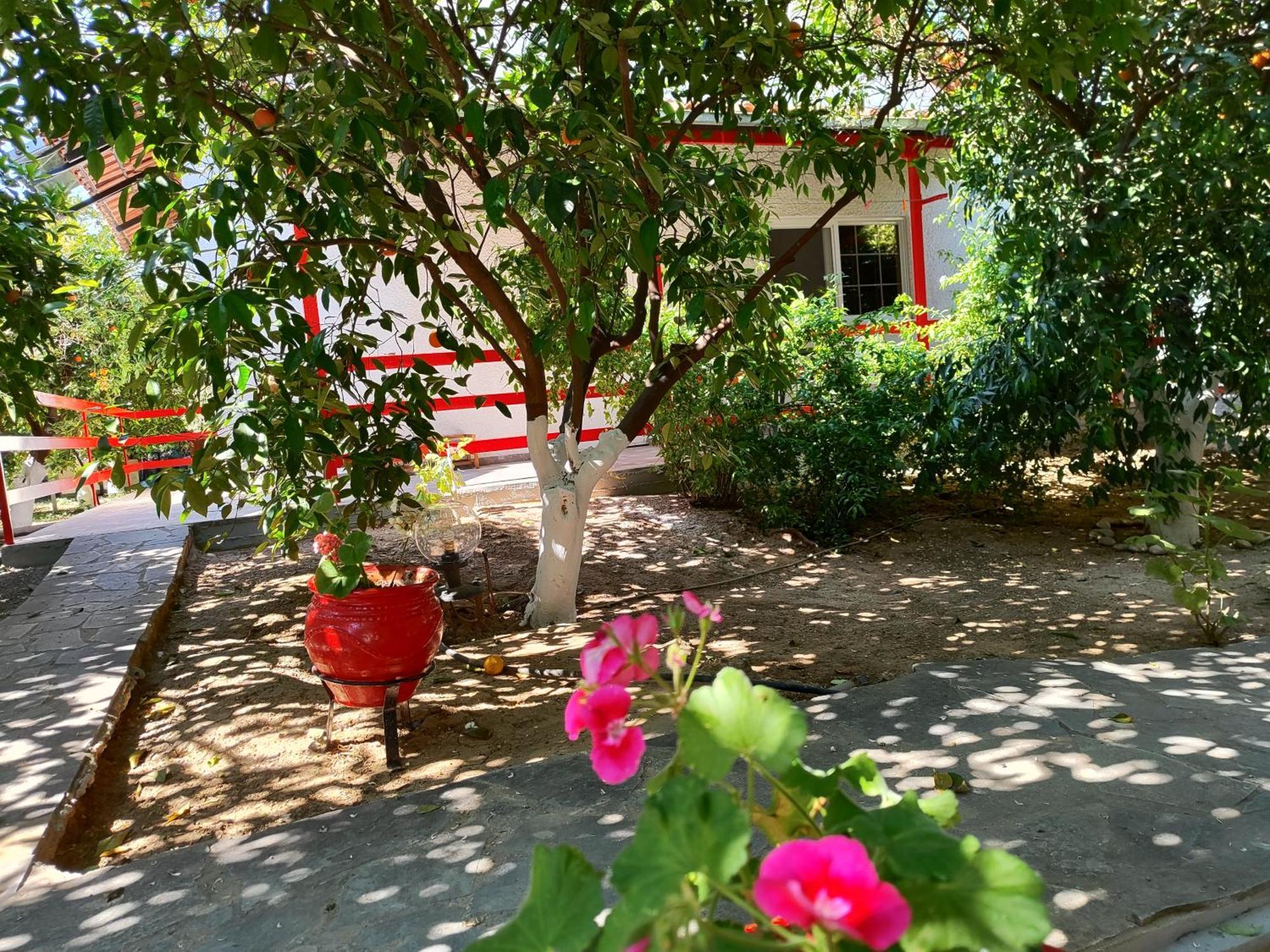 Cottonclub Villas Tolón Dış mekan fotoğraf
