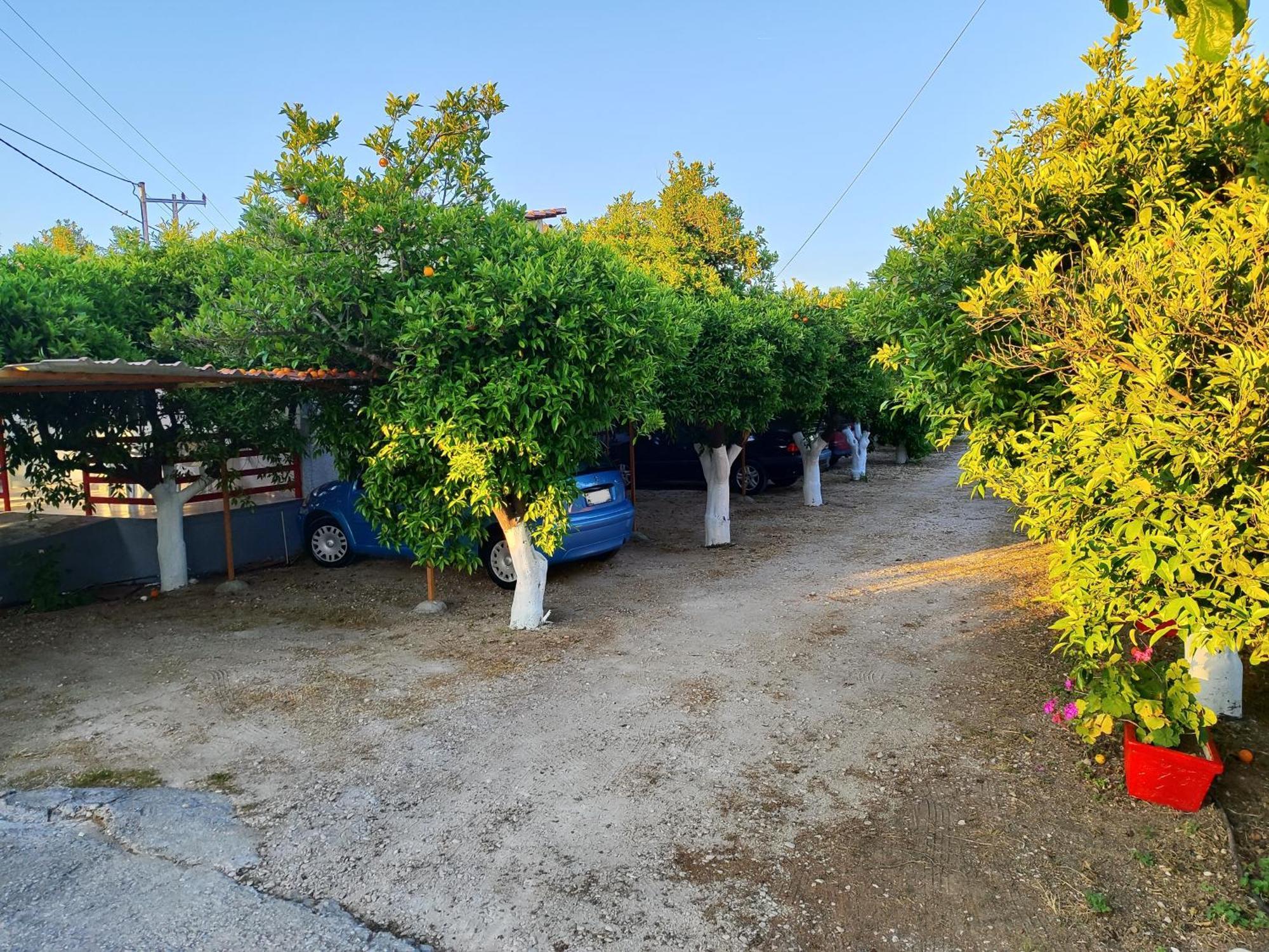 Cottonclub Villas Tolón Dış mekan fotoğraf