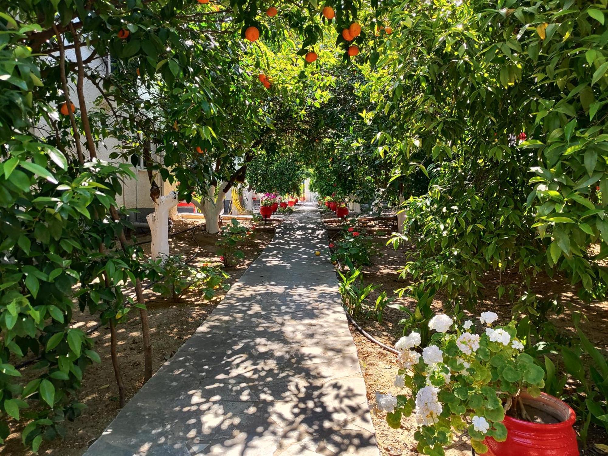 Cottonclub Villas Tolón Dış mekan fotoğraf