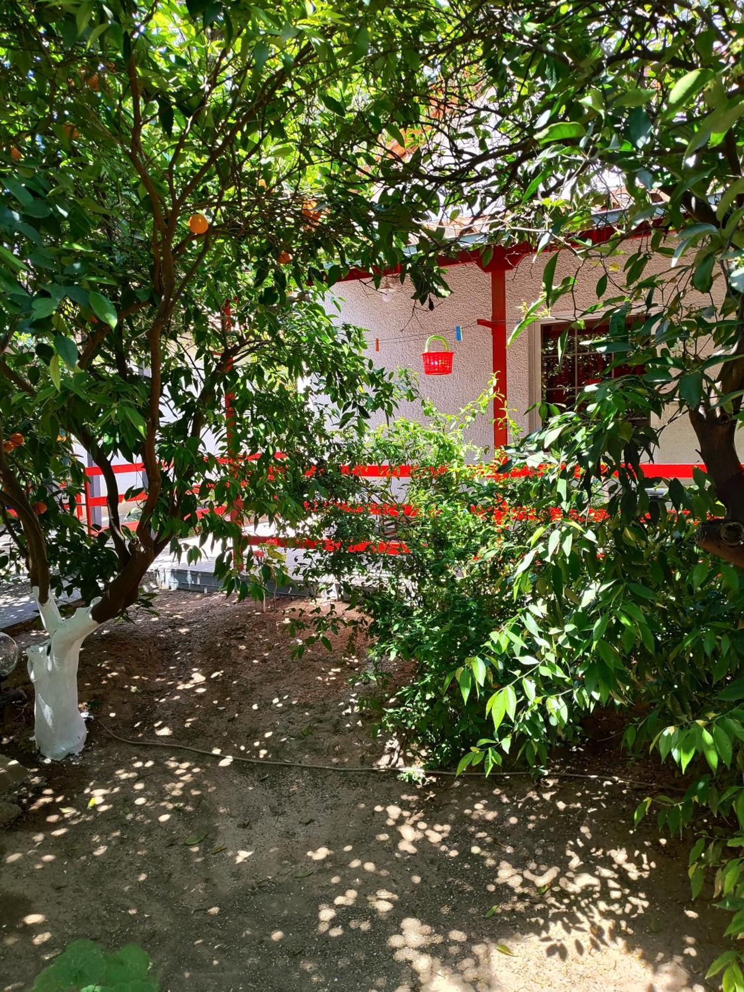 Cottonclub Villas Tolón Dış mekan fotoğraf