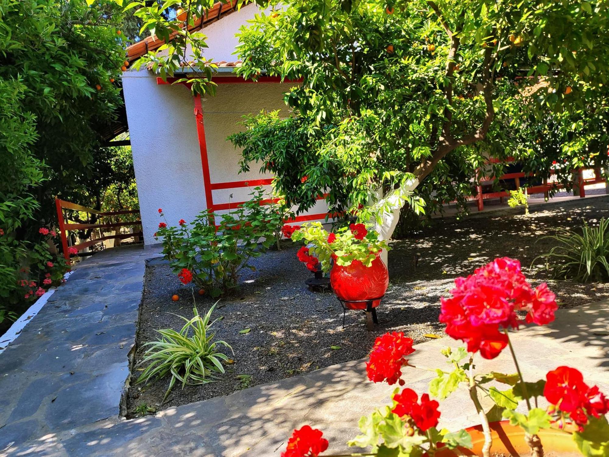 Cottonclub Villas Tolón Dış mekan fotoğraf